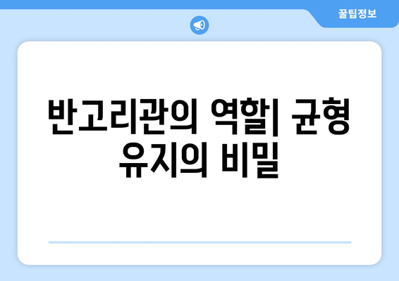 반고리관의 역할| 균형 유지의 비밀
