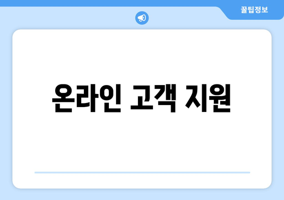 온라인 고객 지원