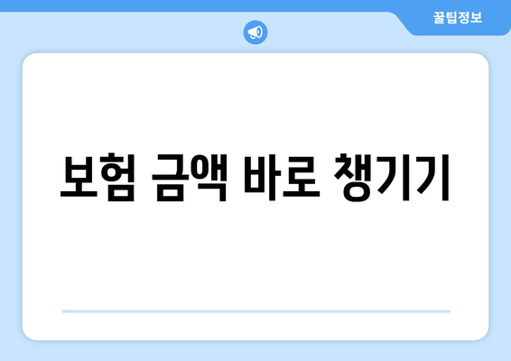 보험 금액 바로 챙기기