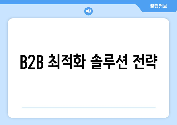 B2B 최적화 솔루션 전략