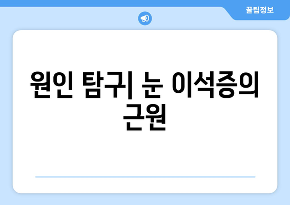 원인 탐구| 눈 이석증의 근원