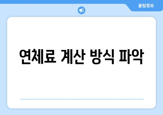 연체료 계산 방식 파악