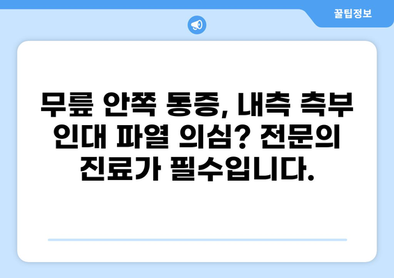무릎 안쪽 통증, 내측 측부 인대 파열 의심되시나요? 증상과 치료법 알아보기 | 무릎 통증, 내측 측부 인대, 운동 부상