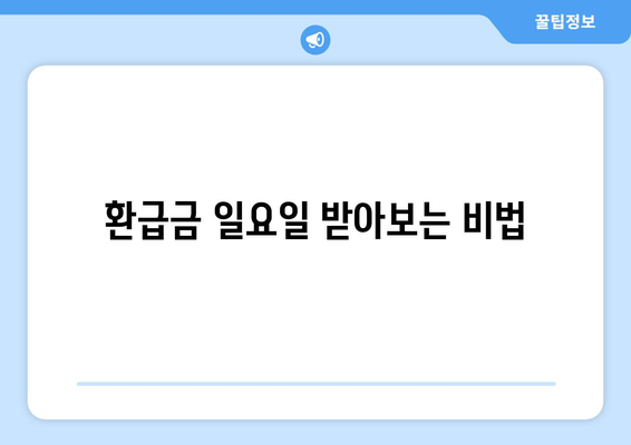 환급금 일요일 받아보는 비법