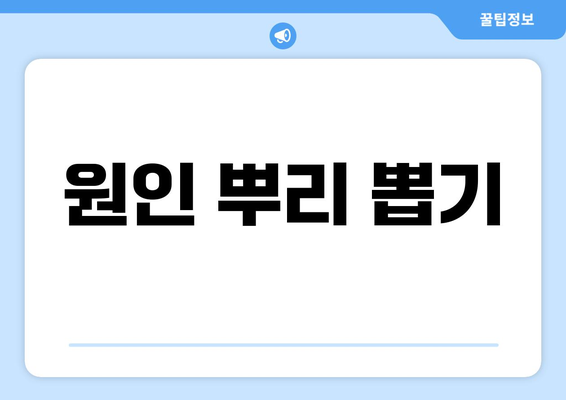 원인 뿌리 뽑기