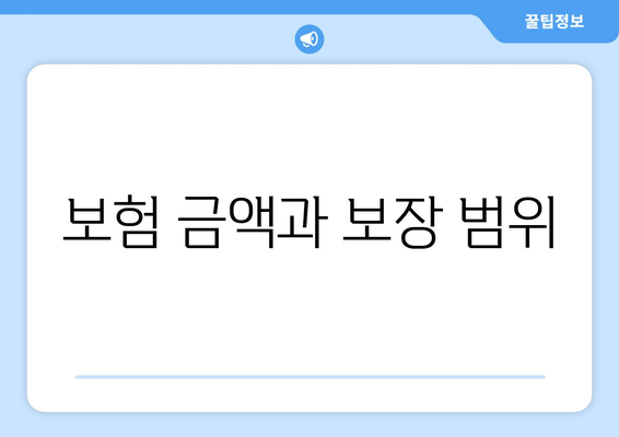 보험 금액과 보장 범위