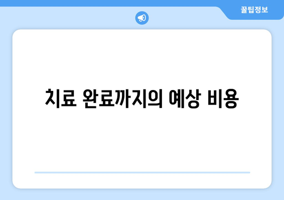 치료 완료까지의 예상 비용