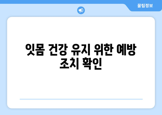 잇몸 건강 유지 위한 예방 조치 확인