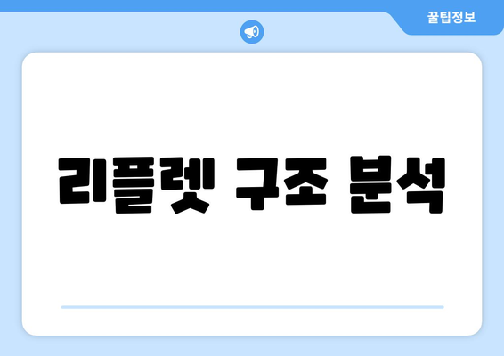 리플렛 구조 분석