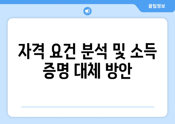 자격 요건 분석 및 소득 증명 대체 방안