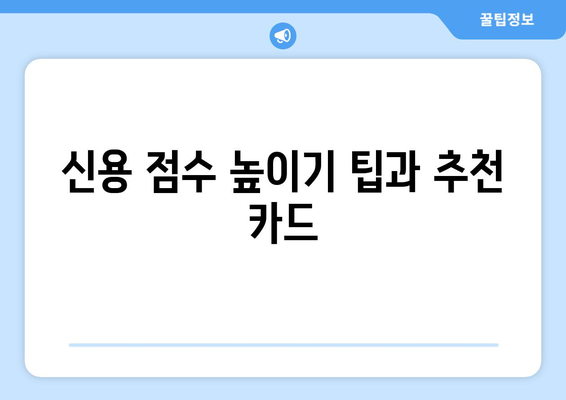 신용 점수 높이기 팁과 추천 카드