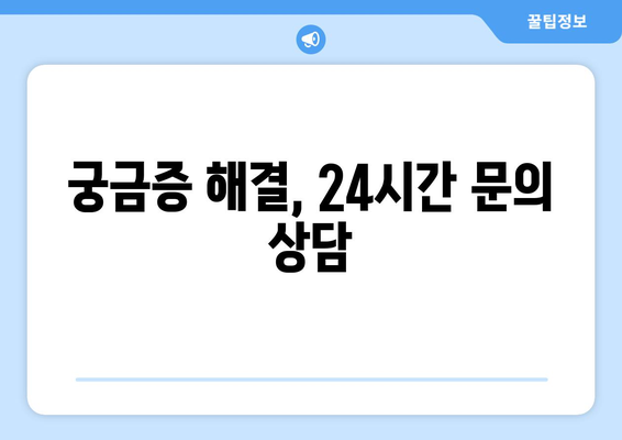 궁금증 해결, 24시간 문의 상담