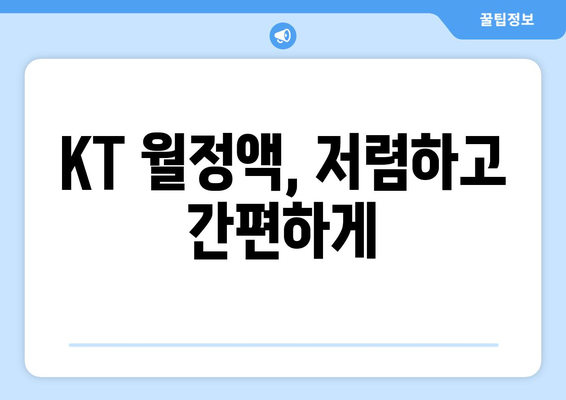 KT 월정액, 저렴하고 간편하게