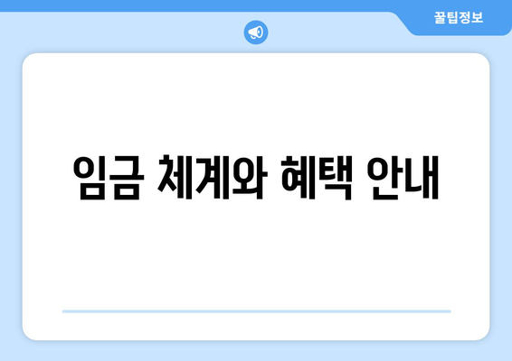 임금 체계와 혜택 안내