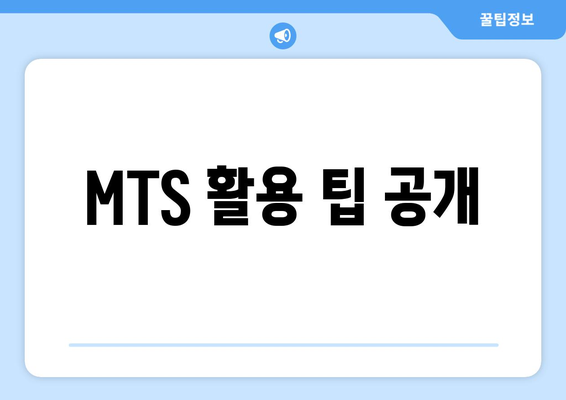 MTS 활용 팁 공개