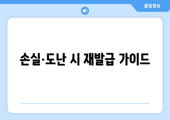 손실·도난 시 재발급 가이드