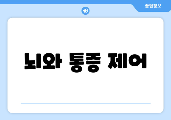 뇌와 통증 제어