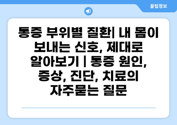 통증 부위별 질환| 내 몸이 보내는 신호, 제대로 알아보기 | 통증 원인, 증상, 진단, 치료