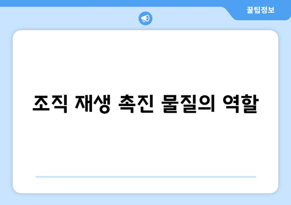 조직 재생 촉진 물질의 역할