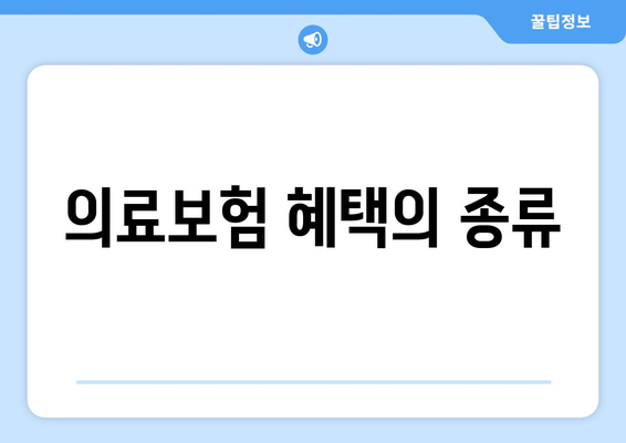 의료보험 혜택의 종류