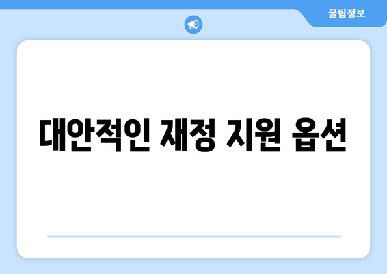 대안적인 재정 지원 옵션