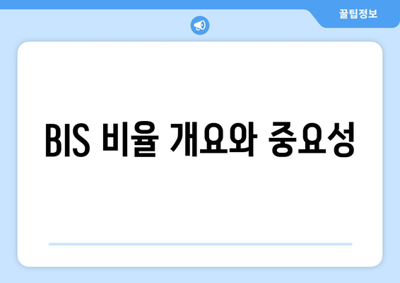 BIS 비율 개요와 중요성