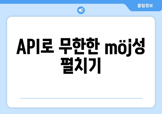 API로 무한한 möj성 펼치기