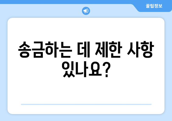 송금하는 데 제한 사항 있나요?