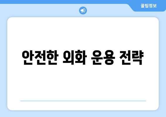 안전한 외화 운용 전략