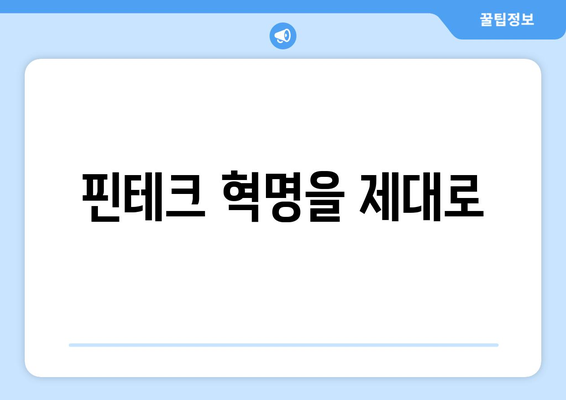 핀테크 혁명을 제대로