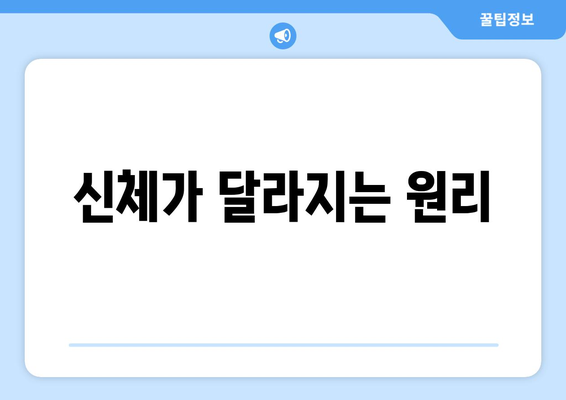 신체가 달라지는 원리