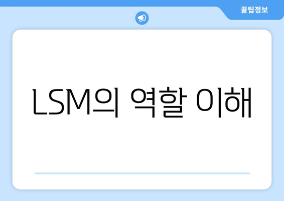 LSM의 역할 이해