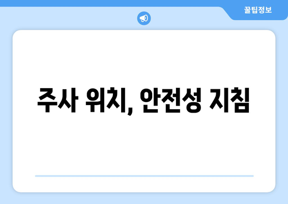 주사 위치, 안전성 지침