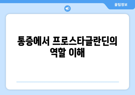 통증에서 프로스타글란딘의 역할 이해