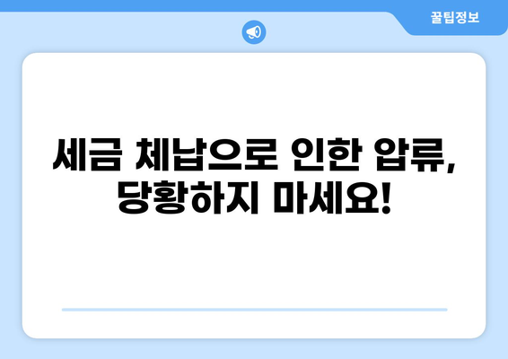 세금 체납 압류, 어떻게 대처해야 할까요? | 체납, 압류, 해결 방안, 법률 정보