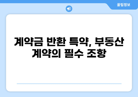 대출 불가 시 계약금 반환 특약| 계약 안전을 위한 필수 조항 | 부동산 계약, 계약금, 특약 조건, 주택 매매