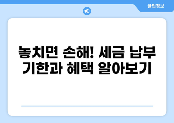서울 세금 납부 완벽 가이드| 종류별 납부 방법, 기한, 혜택 총정리 | 서울시, 세금, 납부, 혜택, 기한