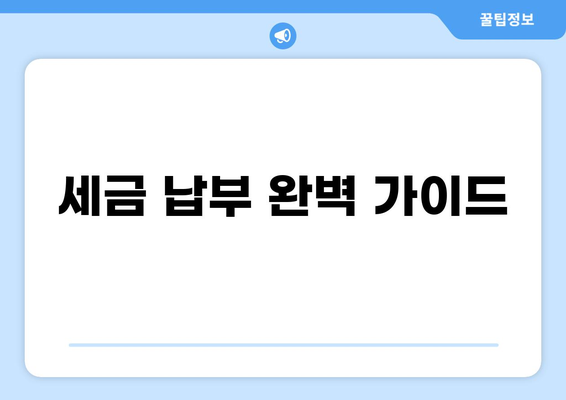 세금 납부 완벽 가이드| 종류별 납부 방법, 기한, 절차 총정리 | 세금, 납세, 국세, 지방세, 신고