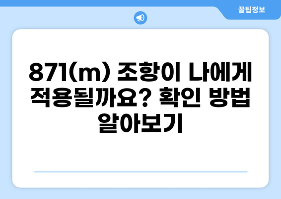 미국 세금 보고, 871(m) 조항 이해하기| 개인 투자자를 위한 가이드 | 미국 세금, 871(m), 투자, 외국인 세금, 세금 보고