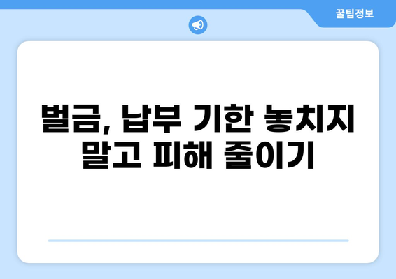 세금 벌금, 꼼꼼히 알아보고 피해 없애기 | 세금, 벌금, 종류, 납부, 팁