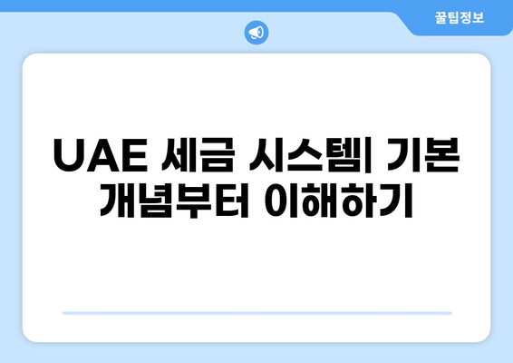UAE 세금 가이드| 비즈니스 운영 및 투자를 위한 완벽한 설명 | UAE 세금 시스템, 법률, 팁