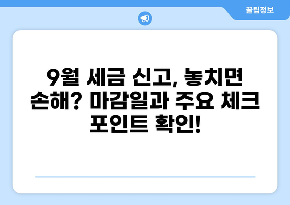 9월 세금, 놓치지 말아야 할 중요 정보 | 세금 신고, 납부, 환급, 절세 팁