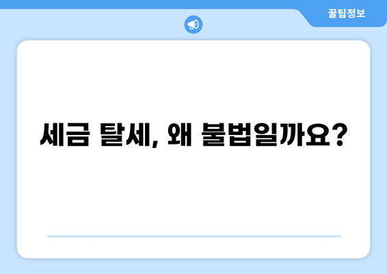 세금 탈세 뜻| 탈세의 종류와 처벌, 그리고 예방 방법 | 세금, 탈세, 불법, 처벌, 예방