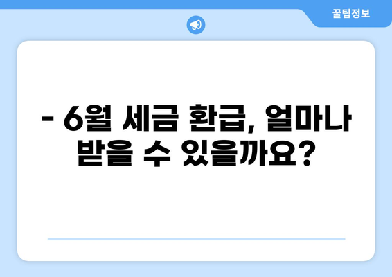 6월 세금 환급 받는 꿀팁| 빠르고 정확하게 환급받기 | 세금 환급, 6월 환급, 소득세 환급, 연말정산
