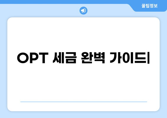 OPT 세금 완벽 가이드| 개념부터 절세 팁까지 | OPT, 세금, 절세, 미국 세금