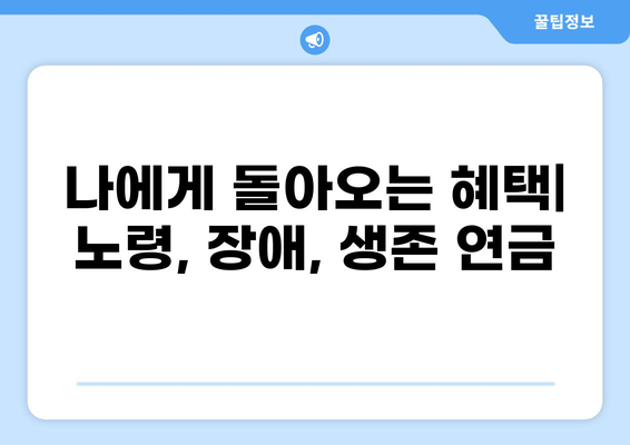 OASDI 세금 완벽 가이드| 납부, 환급, 연령별 변화까지 | 사회보장세, 노령연금, 장애연금, 생존자연금