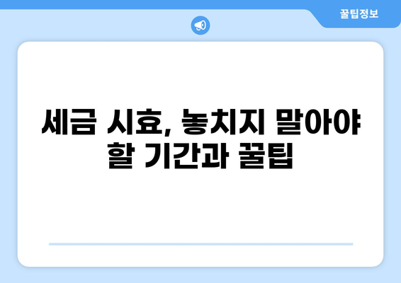 세금 시효 완벽 가이드| 놓치지 말아야 할 기간과 꿀팁 | 세금, 납부, 환급, 소멸시효