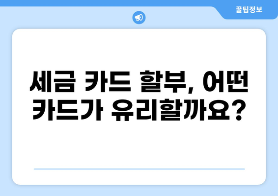 세금 카드 할부, 이젠 똑똑하게! | 카드별 할부 조건 비교, 최저 금리 찾기, 절세 팁