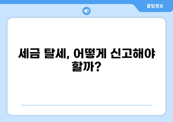 세금 탈세 형사처벌, 어떤 경우에 얼마나 처벌받을까? | 탈세 범죄, 처벌 수위, 세금 납부