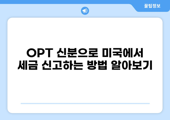OPT 세금 완벽 가이드| 개념부터 절세 팁까지 | OPT, 세금, 절세, 미국 세금
